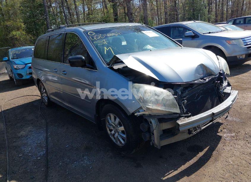 2009 Honda Odyssey EX (VIN 5FNRL384X9B003848) main photo