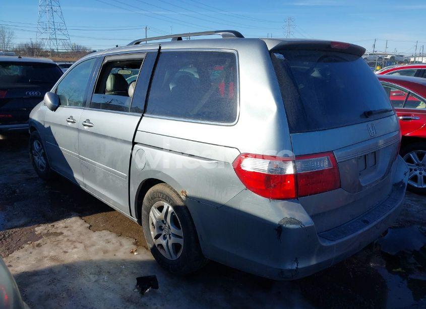 Photo 3 of 2005 Honda Odyssey EX-L (VIN 5FNRL38605B027667)