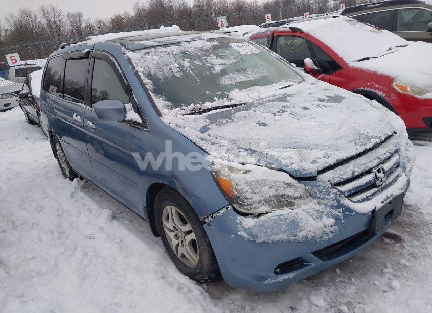 2005 Honda Odyssey EX-L (VIN 5FNRL38605B062984) main photo