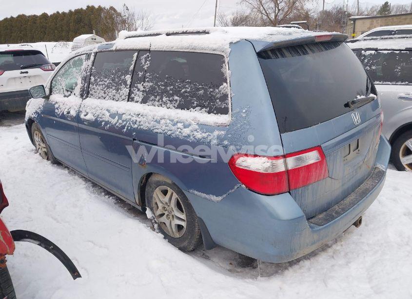 Photo 3 of 2005 Honda Odyssey EX-L (VIN 5FNRL38605B062984)