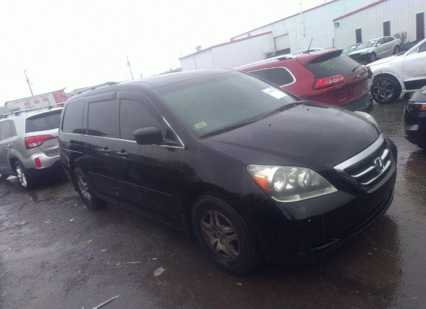 2005 Honda Odyssey EX-L (VIN 5FNRL38605B105865) main photo