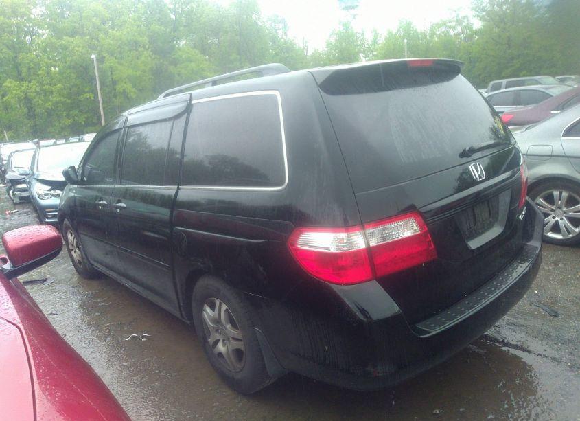 Photo 3 of 2005 Honda Odyssey EX-L (VIN 5FNRL38605B105865)