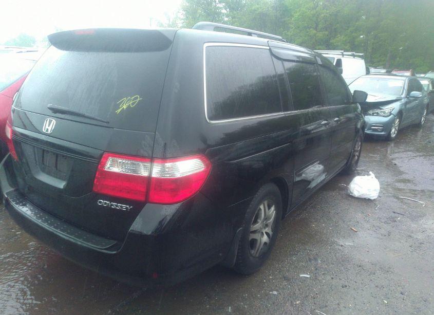 Photo 4 of 2005 Honda Odyssey EX-L (VIN 5FNRL38605B105865)