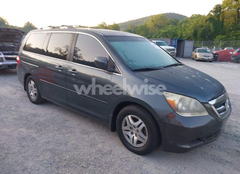 2005 Honda Odyssey EX-L (VIN 5FNRL38605B406281) main photo