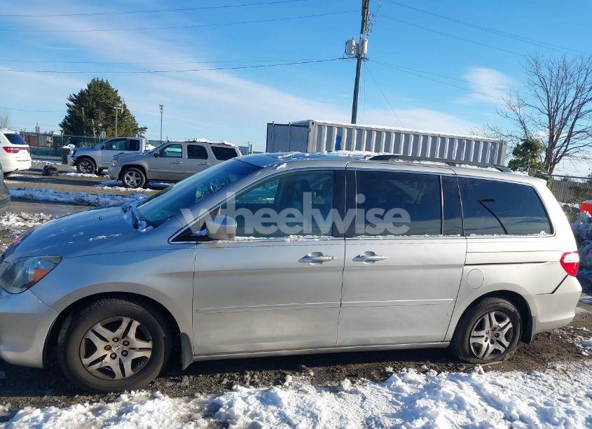 Photo 14 of 2005 Honda Odyssey EX-L (VIN 5FNRL38605B414817)