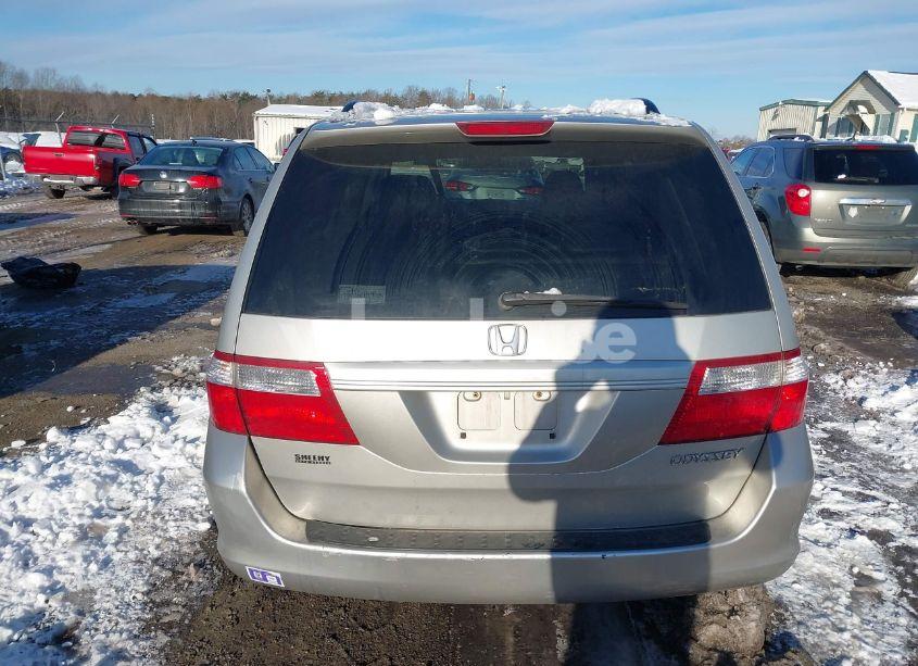 Photo 16 of 2005 Honda Odyssey EX-L (VIN 5FNRL38605B414817)