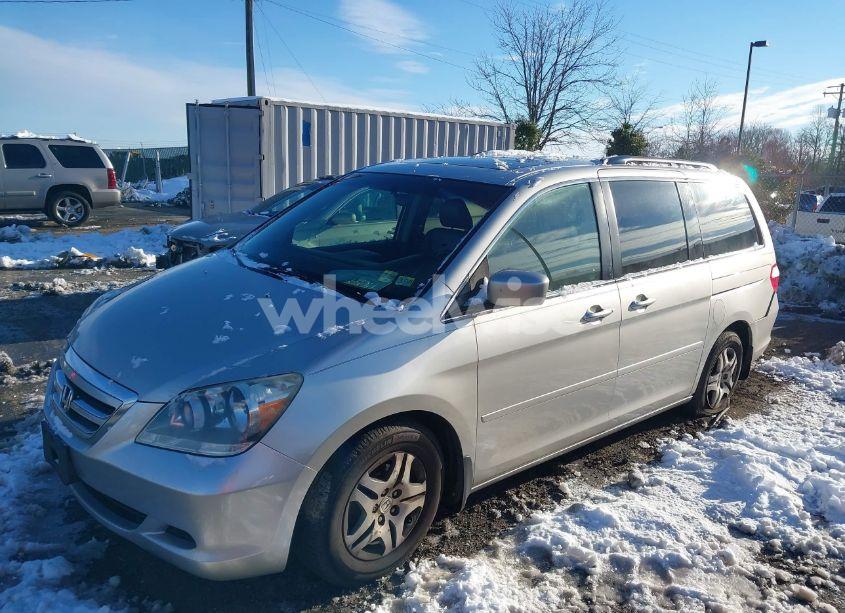 Photo 2 of 2005 Honda Odyssey EX-L (VIN 5FNRL38605B414817)
