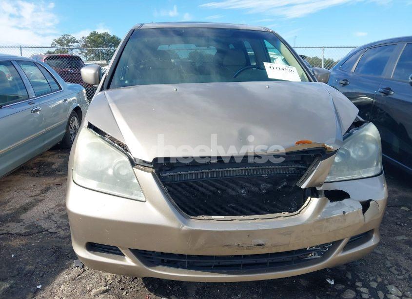 Photo 6 of 2006 Honda Odyssey EX-L (VIN 5FNRL38606B405133)