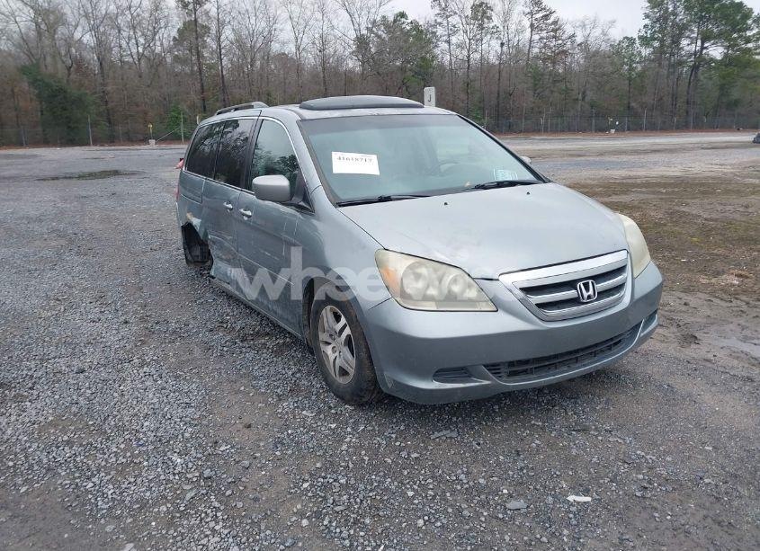2007 Honda Odyssey EX-L (VIN 5FNRL38607B026702) main photo