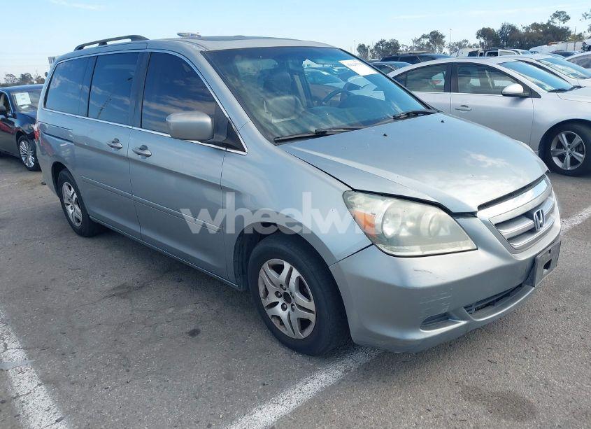 2007 Honda Odyssey EX-L (VIN 5FNRL38607B045797) main photo