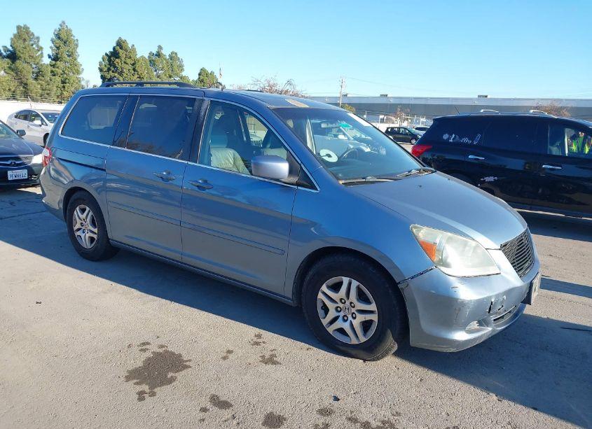 2007 Honda Odyssey EX-L (VIN 5FNRL38607B046111) main photo