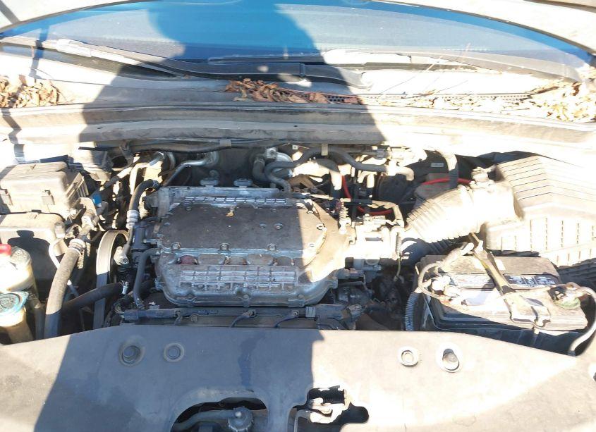 Photo 10 of 2007 Honda Odyssey EX-L (VIN 5FNRL38607B046111)