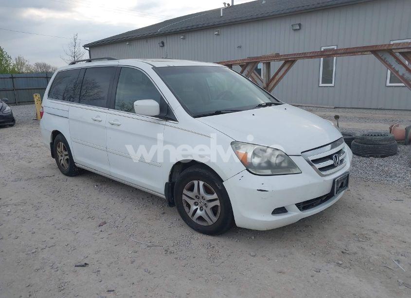 2007 Honda Odyssey EX-L (VIN 5FNRL38607B403903) main photo