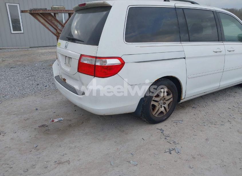 Photo 4 of 2007 Honda Odyssey EX-L (VIN 5FNRL38607B403903)
