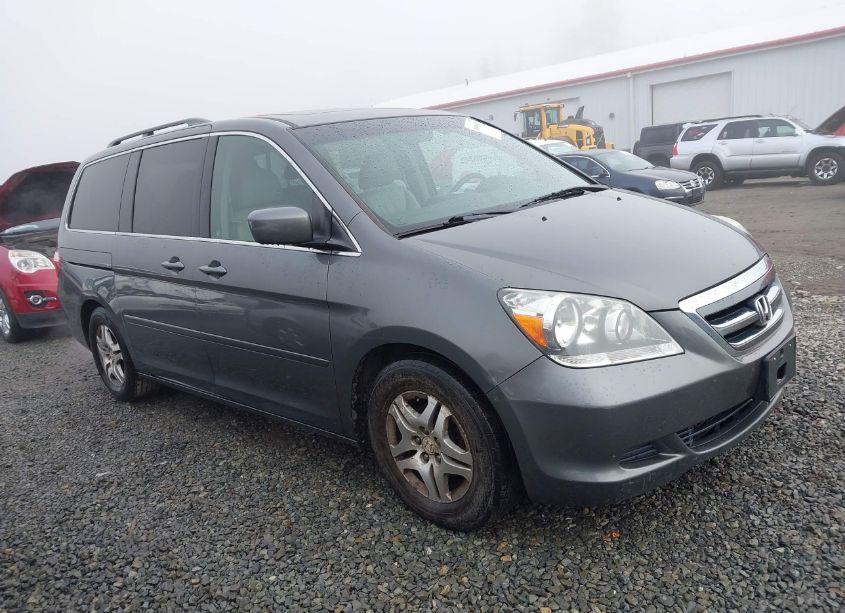 2007 Honda Odyssey EX-L (VIN 5FNRL38607B406526) main photo
