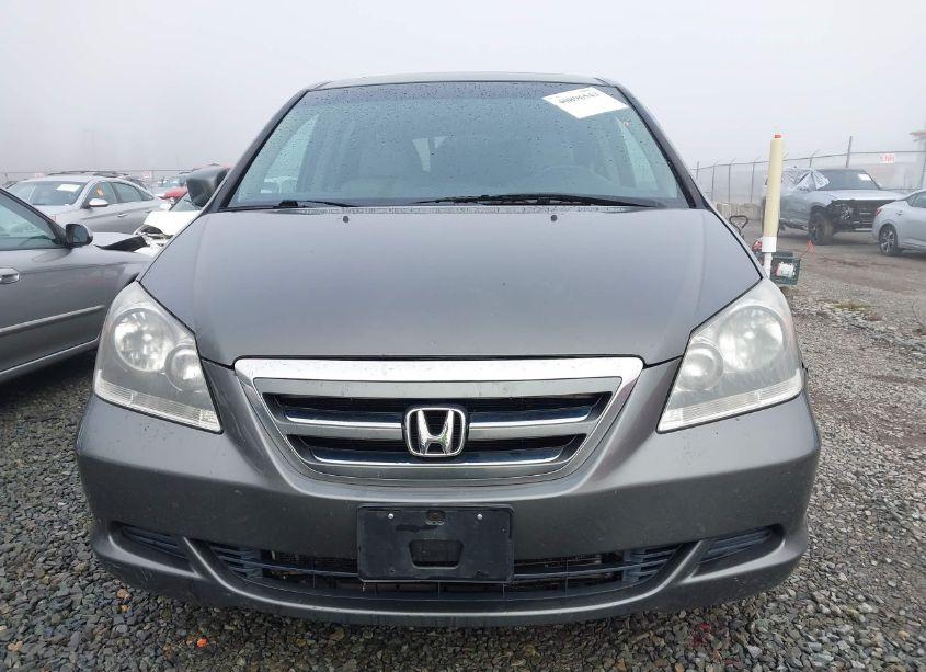 Photo 13 of 2007 Honda Odyssey EX-L (VIN 5FNRL38607B406526)