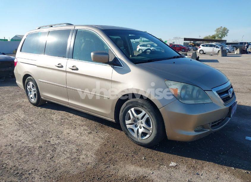 2007 Honda Odyssey EX-L (VIN 5FNRL38607B422225) main photo
