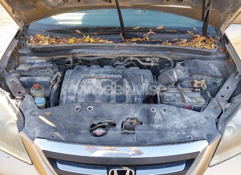 Photo 10 of 2007 Honda Odyssey EX-L (VIN 5FNRL38607B422225)