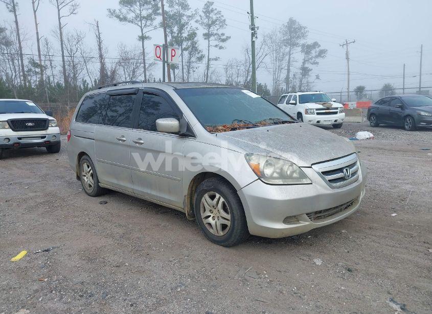 2007 Honda Odyssey EX-L (VIN 5FNRL38607B427036) main photo