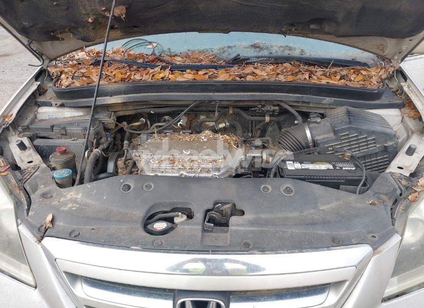 Photo 10 of 2007 Honda Odyssey EX-L (VIN 5FNRL38607B427036)