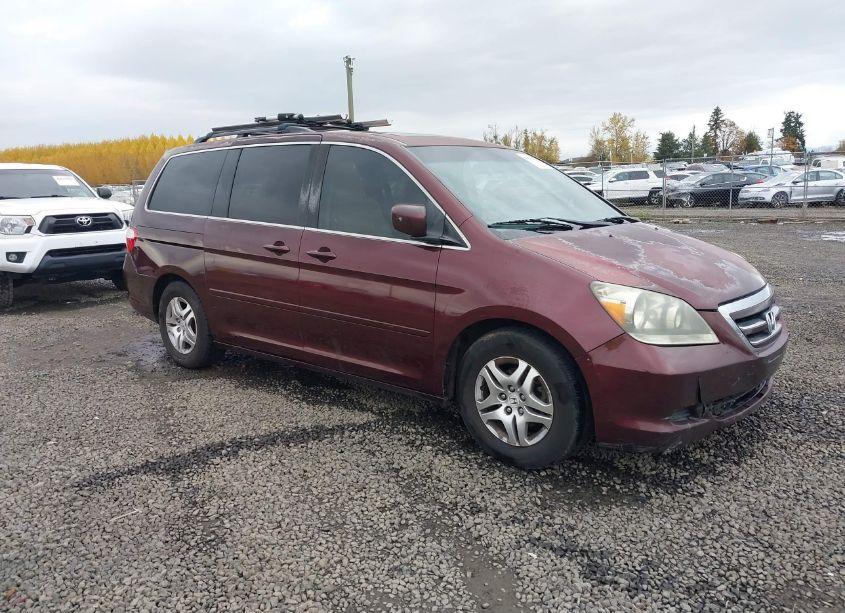 2007 Honda Odyssey EX-L (VIN 5FNRL38607B442684) main photo