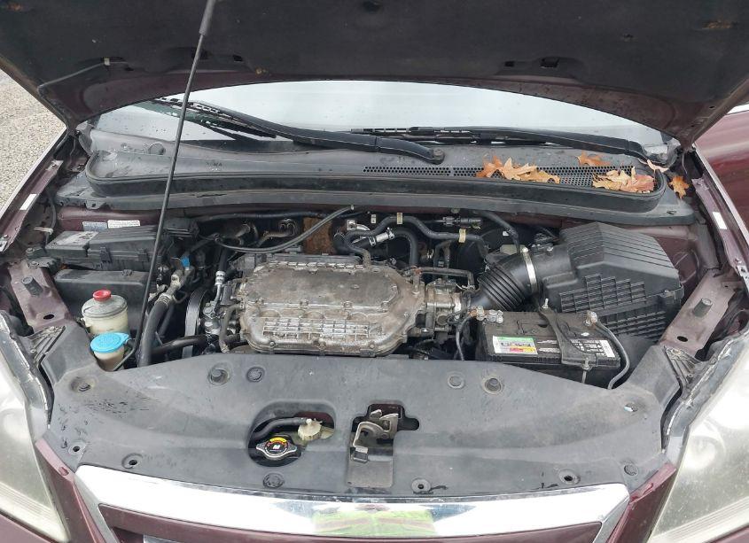 Photo 10 of 2007 Honda Odyssey EX-L (VIN 5FNRL38607B442684)