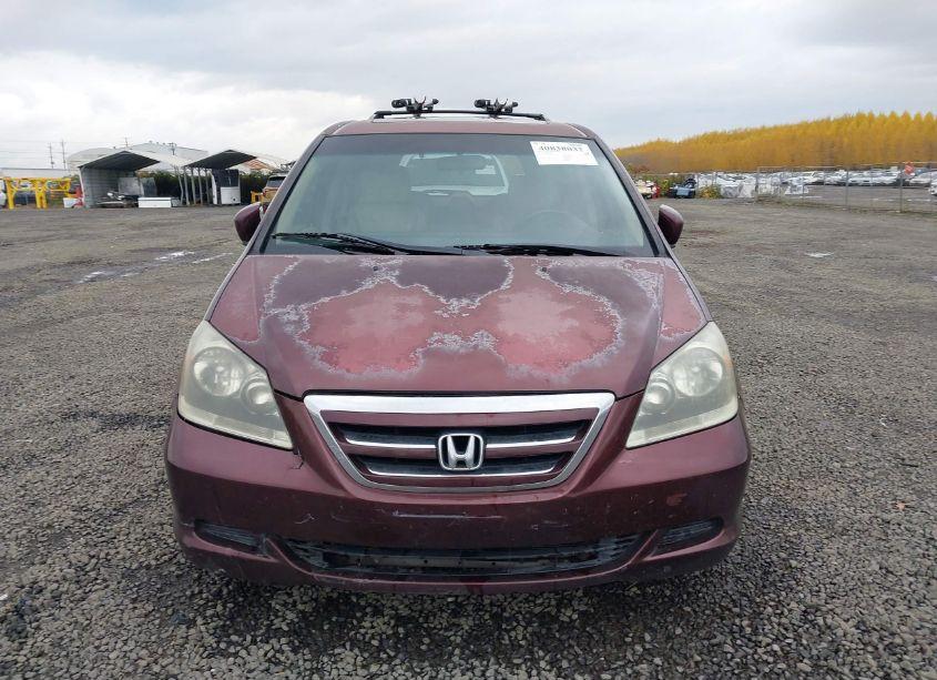 Photo 12 of 2007 Honda Odyssey EX-L (VIN 5FNRL38607B442684)