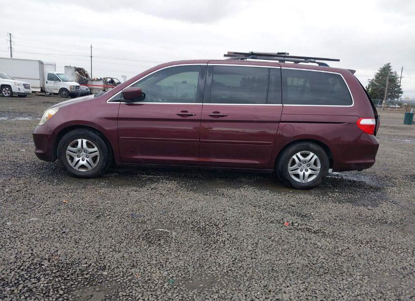 Photo 14 of 2007 Honda Odyssey EX-L (VIN 5FNRL38607B442684)