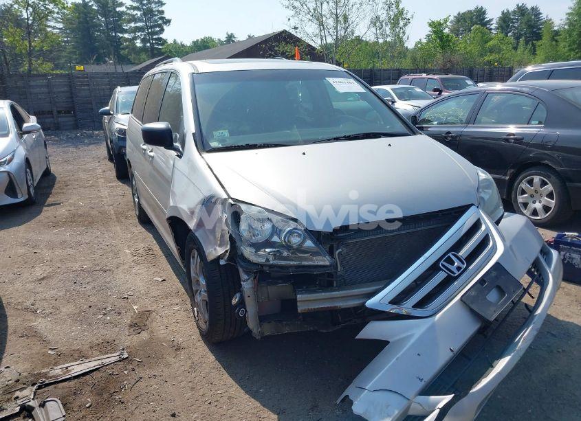 2007 Honda Odyssey EX-L (VIN 5FNRL38607B457251) main photo