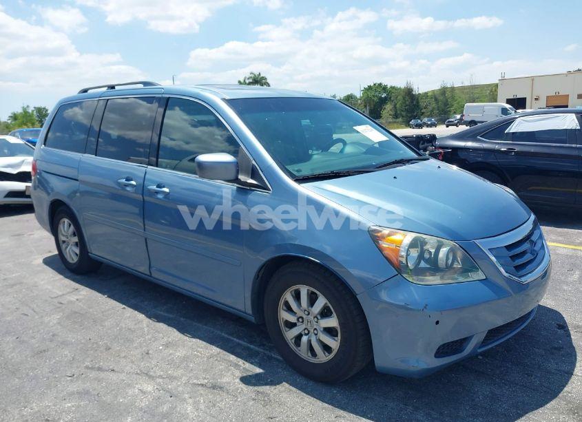 2008 Honda Odyssey EX-L (VIN 5FNRL38608B029522) main photo
