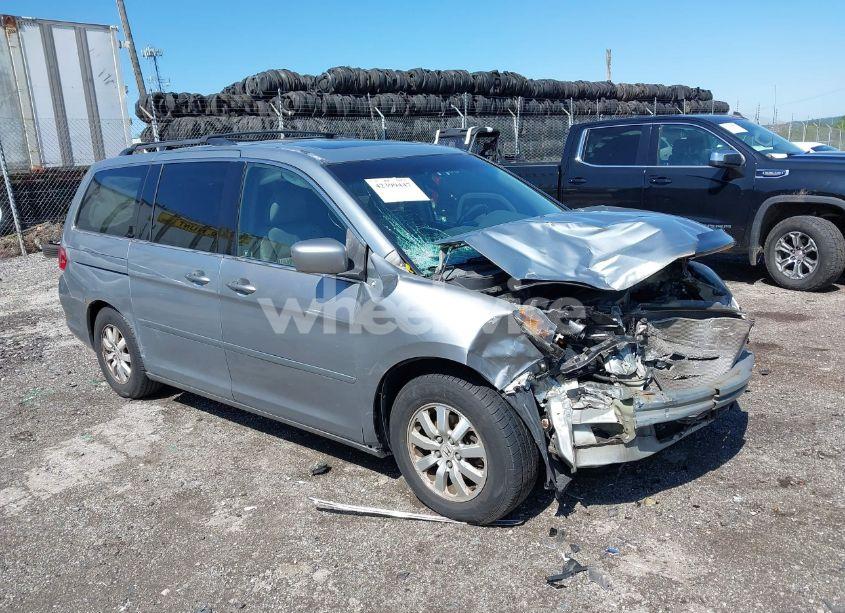 2008 Honda Odyssey EX-L (VIN 5FNRL38608B051990) main photo