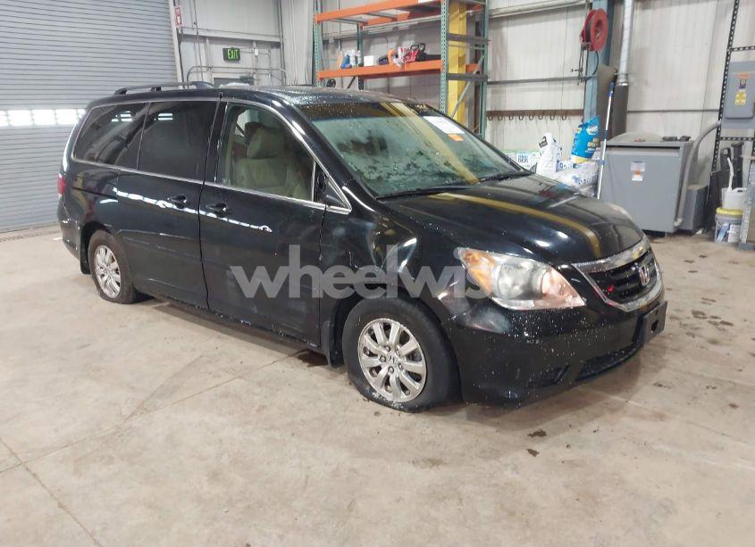 2008 Honda Odyssey EX-L (VIN 5FNRL38608B113128) main photo
