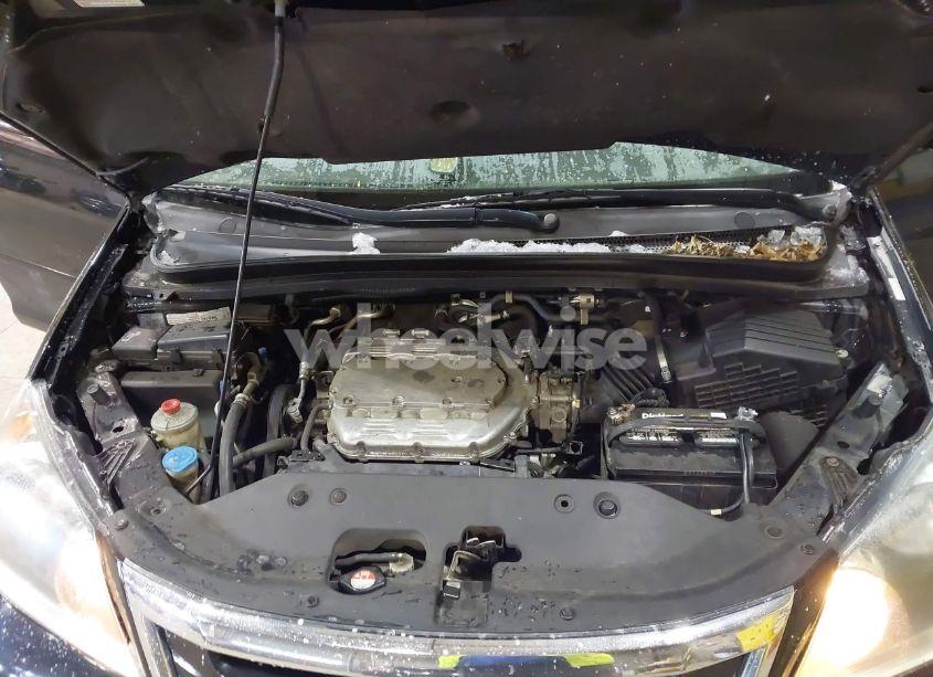 Photo 10 of 2008 Honda Odyssey EX-L (VIN 5FNRL38608B113128)