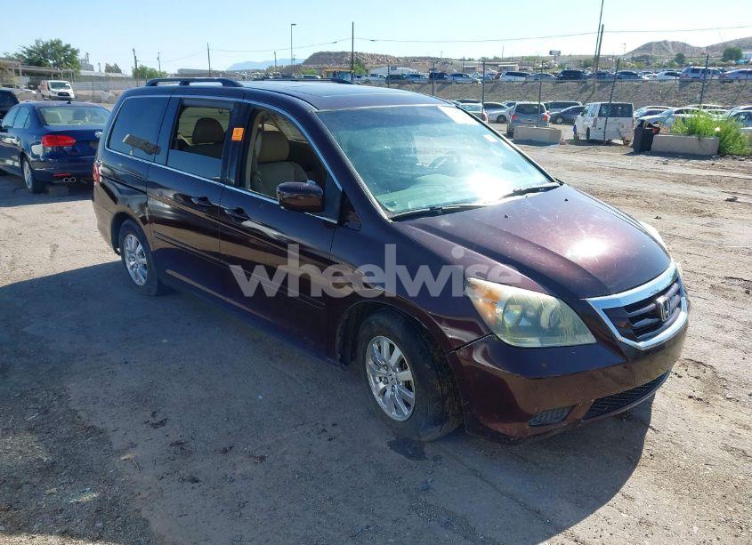 2008 Honda Odyssey EX-L (VIN 5FNRL38608B402137) main photo