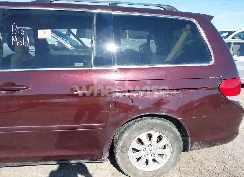 Photo 11 of 2008 Honda Odyssey EX-L (VIN 5FNRL38608B402137)