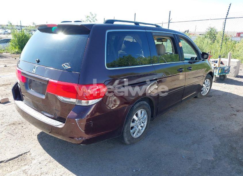 Photo 4 of 2008 Honda Odyssey EX-L (VIN 5FNRL38608B402137)