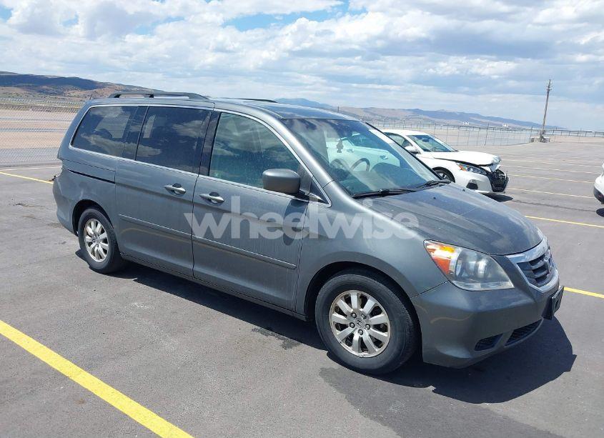 2008 Honda Odyssey EX-L (VIN 5FNRL38608B416846) main photo
