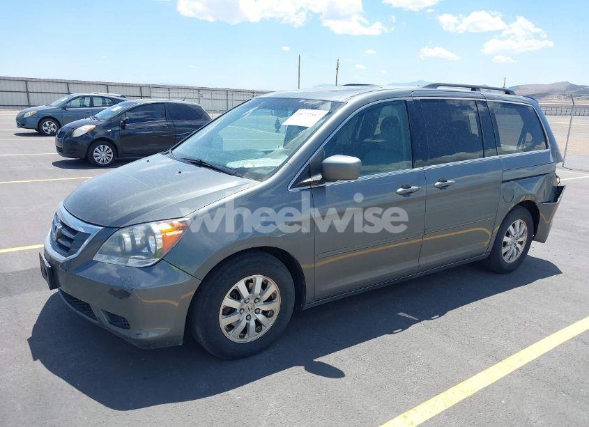 Photo 2 of 2008 Honda Odyssey EX-L (VIN 5FNRL38608B416846)