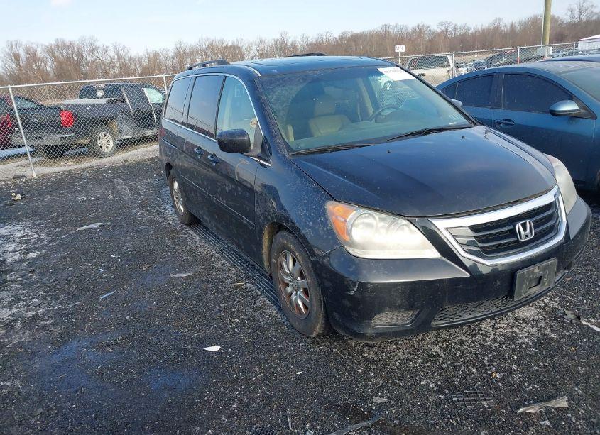 2009 Honda Odyssey EX-L (VIN 5FNRL38609B048847) main photo
