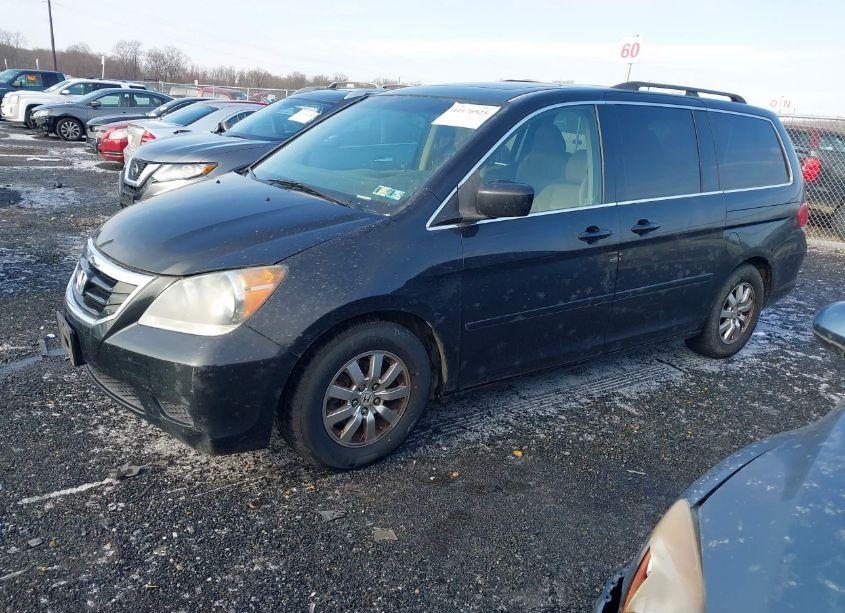 Photo 2 of 2009 Honda Odyssey EX-L (VIN 5FNRL38609B048847)