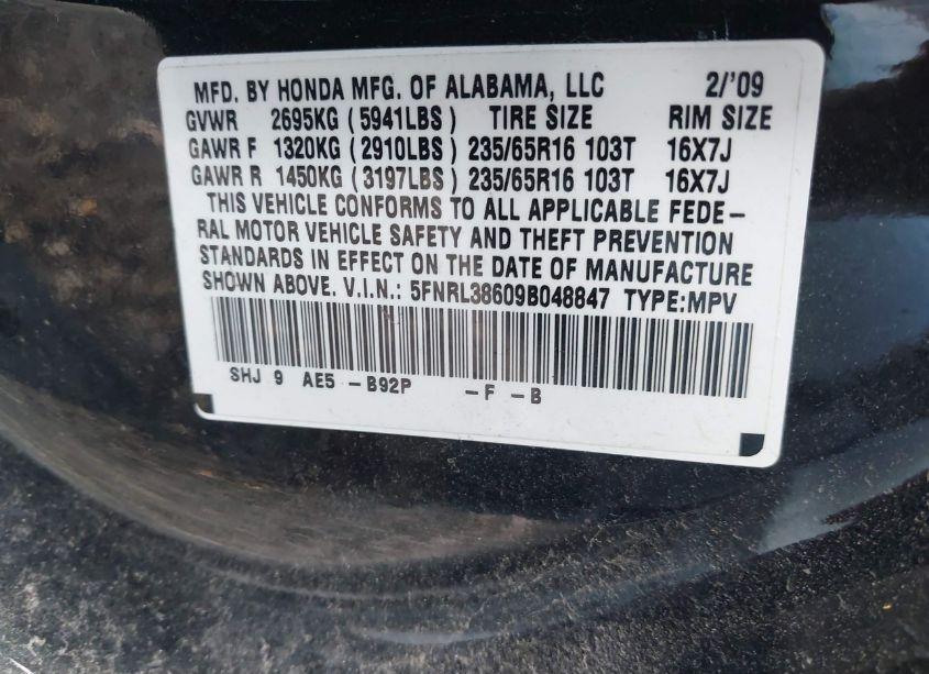 Photo 9 of 2009 Honda Odyssey EX-L (VIN 5FNRL38609B048847)