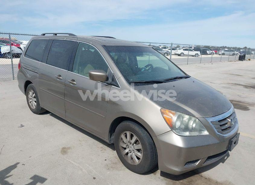 2009 Honda Odyssey EX-L (VIN 5FNRL38609B054731) main photo