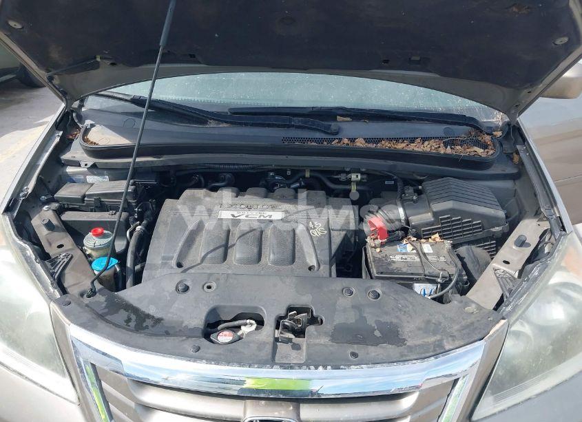 Photo 10 of 2009 Honda Odyssey EX-L (VIN 5FNRL38609B054731)