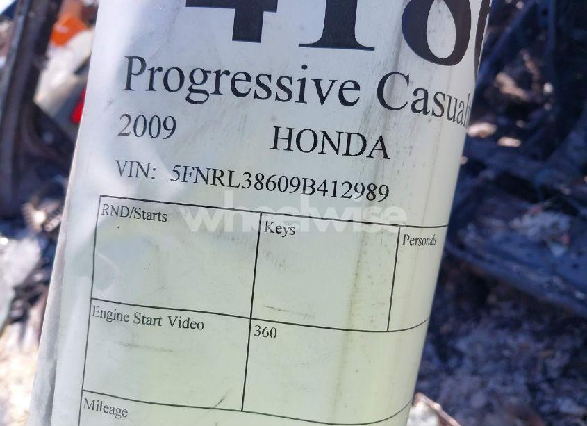 Photo 9 of 2009 Honda Odyssey EX-L (VIN 5FNRL38609B412989)