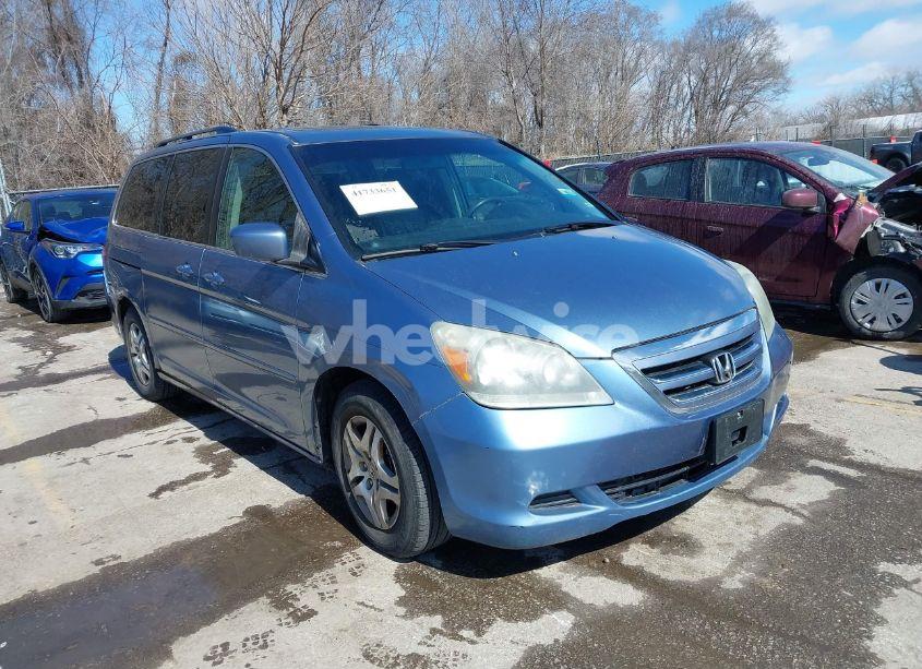 2005 Honda Odyssey EX-L (VIN 5FNRL38615B037091) main photo