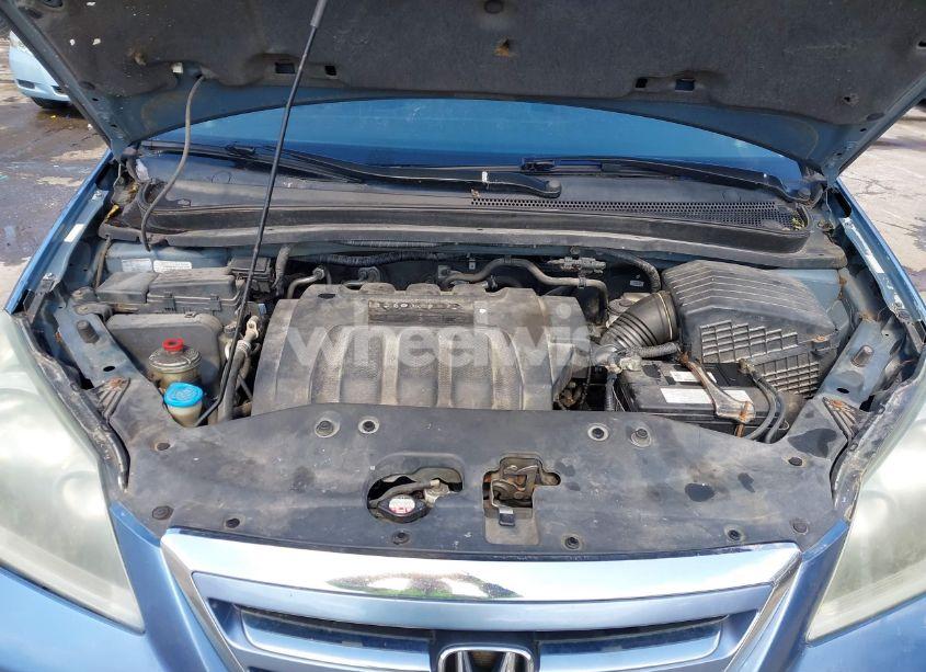 Photo 10 of 2005 Honda Odyssey EX-L (VIN 5FNRL38615B037091)