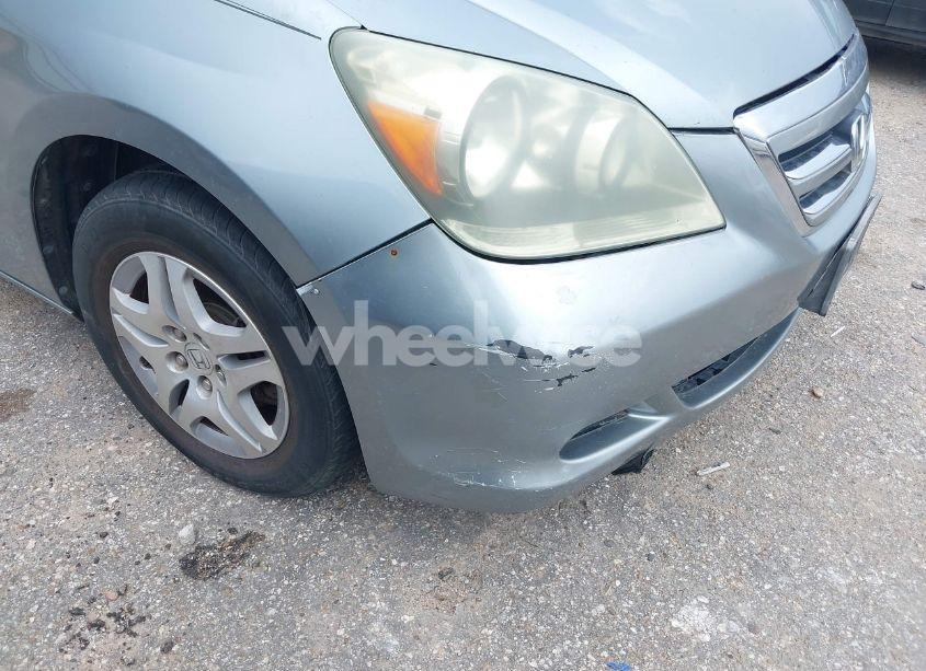 Photo 13 of 2005 Honda Odyssey EX-L (VIN 5FNRL38615B079423)