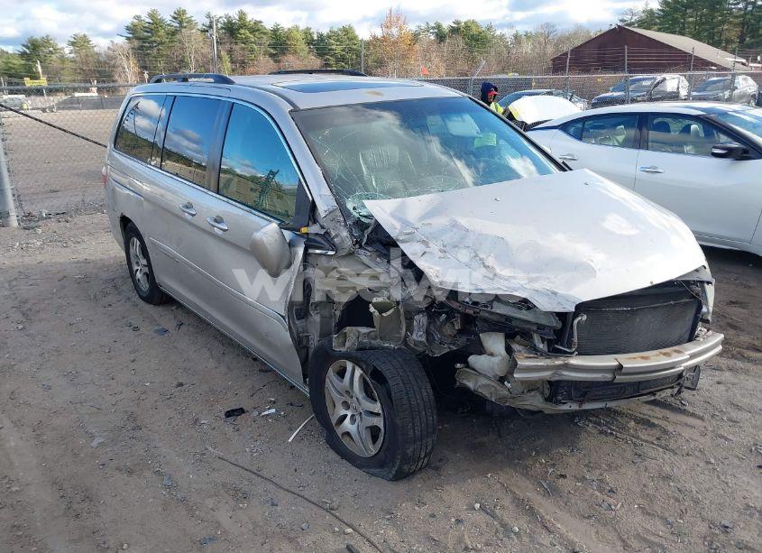 2005 Honda Odyssey EX-L (VIN 5FNRL38615B415135) main photo