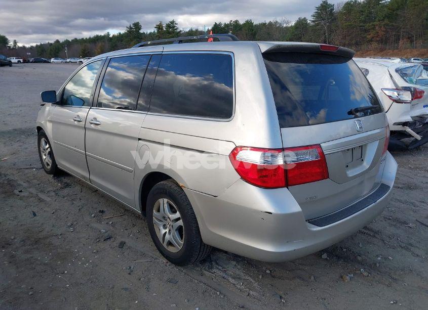 Photo 3 of 2005 Honda Odyssey EX-L (VIN 5FNRL38615B415135)