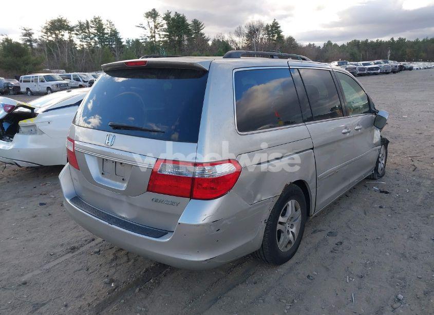 Photo 4 of 2005 Honda Odyssey EX-L (VIN 5FNRL38615B415135)